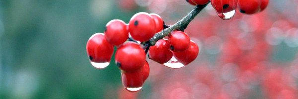 MiguelBaya Profile Banner