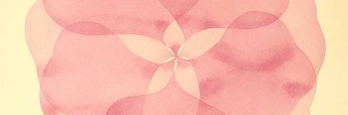 𝓁 ⋆˚✿˖'s banner