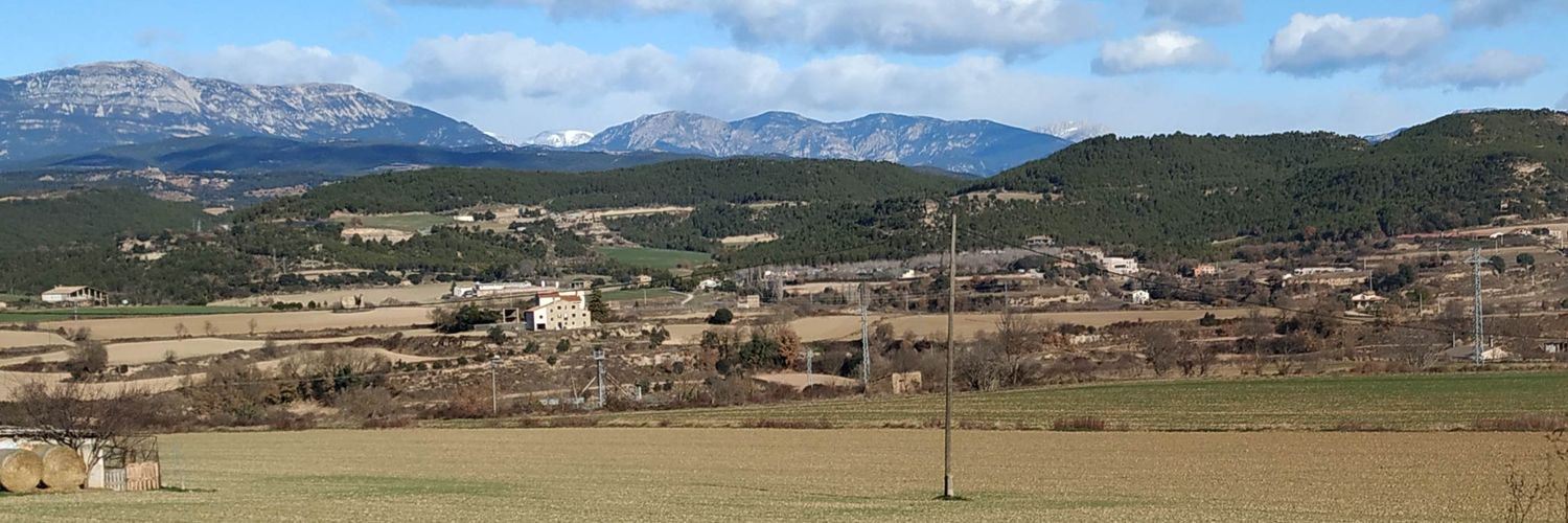 Anna Mujal i Colilles banner