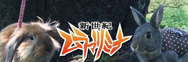 mina_m74's profile banner image