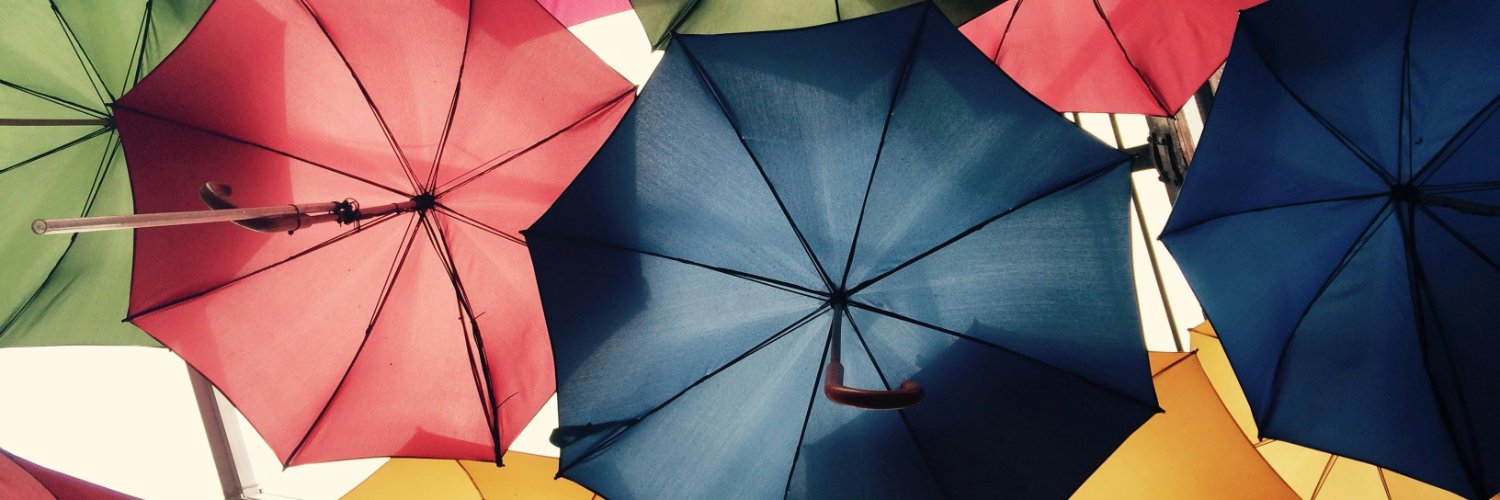 luis vieira garcia banner