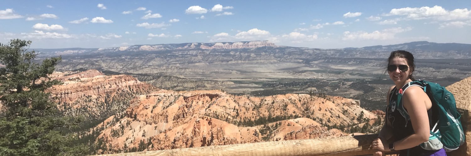 Danellerson's profile banner image