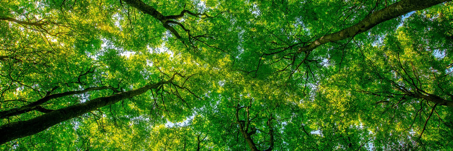 Climate Fiction Book Club banner