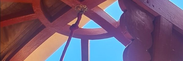 amaraa_gs Profile Banner