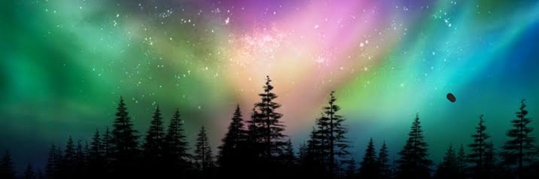 lopez_fo's profile banner image