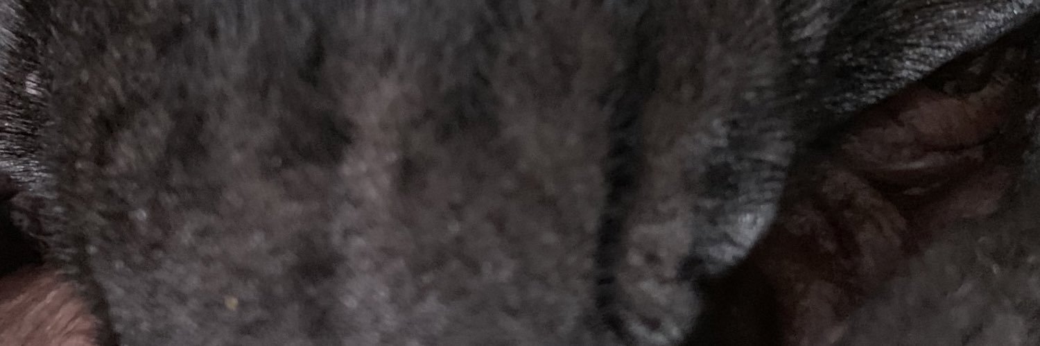 Rodger banner