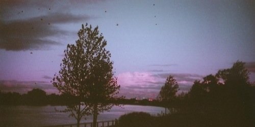 iMortified's profile banner image