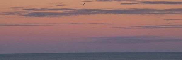 Mix10576684's profile banner image