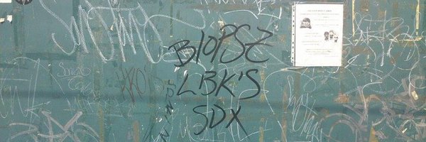 soybiopsz Profile Banner