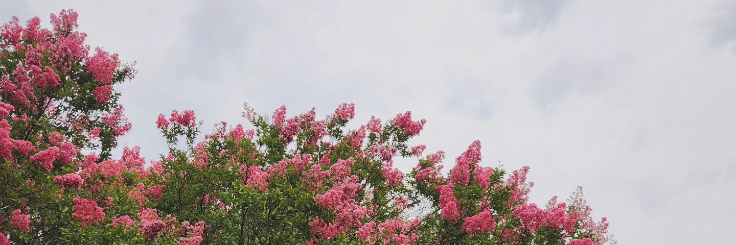 AbiBeaty's profile banner image