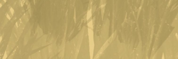 TrentPredOtter's profile banner image