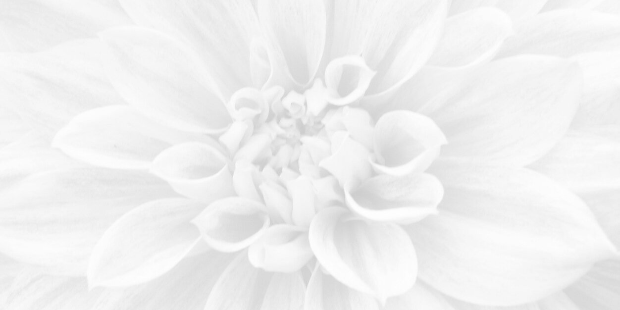 BridesGetBuff's profile banner image