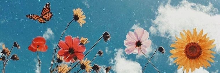 MickaAguilera's profile banner image