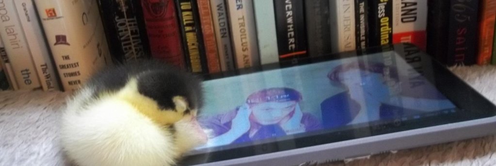 RillaMulwane's profile banner image