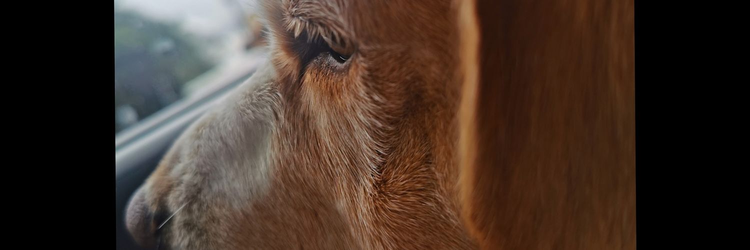 Sole9403's profile banner image