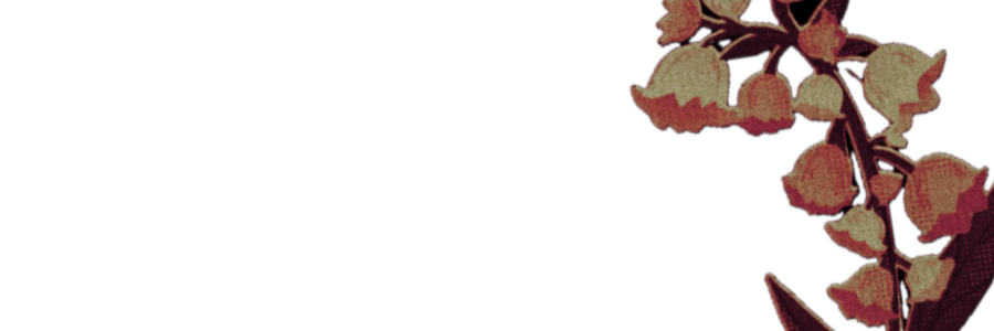 ‍‍‍ ‍‍‍ ✿ ‍‍ ‍‍‍𝒂𝒍𝖙𝖍𝖊̲𝖆 ‍‍‍ ‍‍‍ ꫂ.ᐟ banner