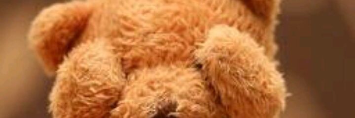 FabiolaSkate's profile banner image