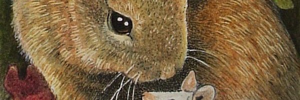 Max_imiga Profile Banner