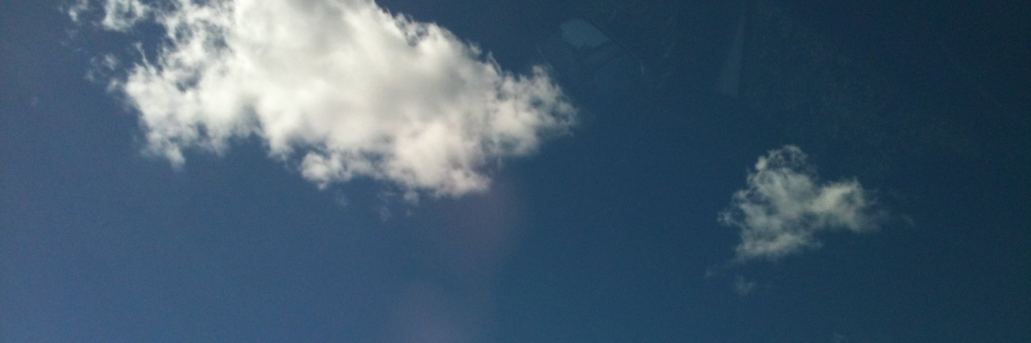 daniela rubio banner