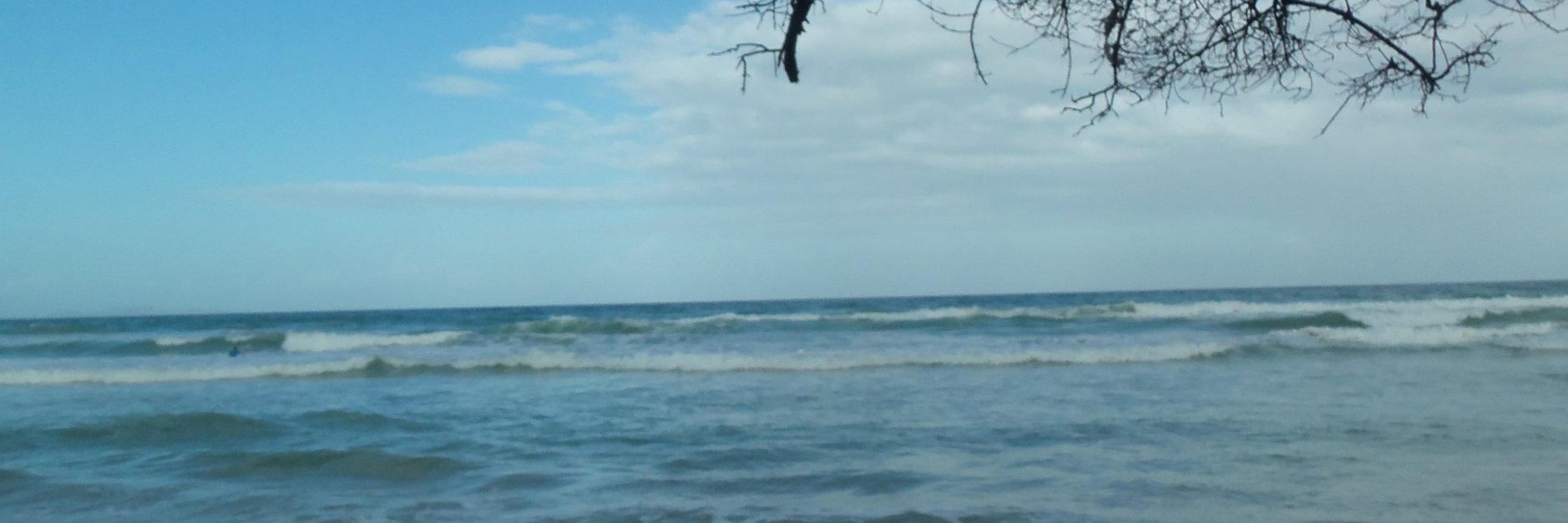 milatarache's profile banner image