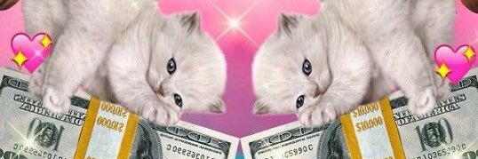 conxuda couture banner