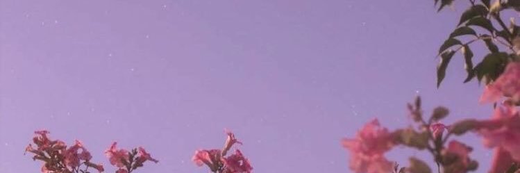 gabsjta's profile banner image