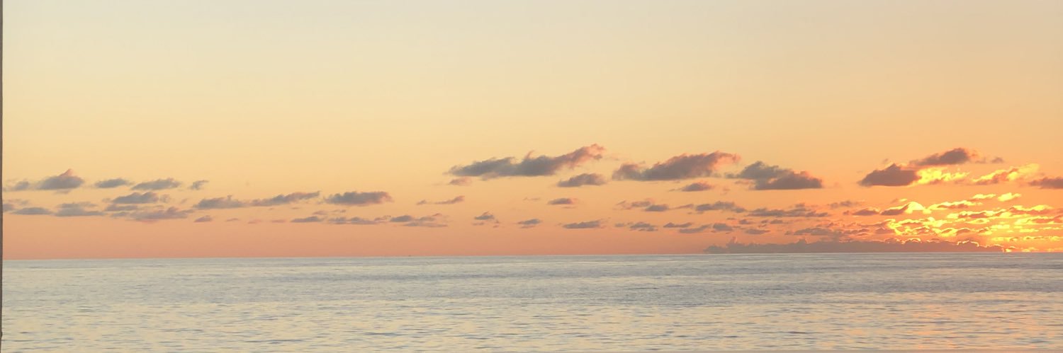 diegobati_'s profile banner image