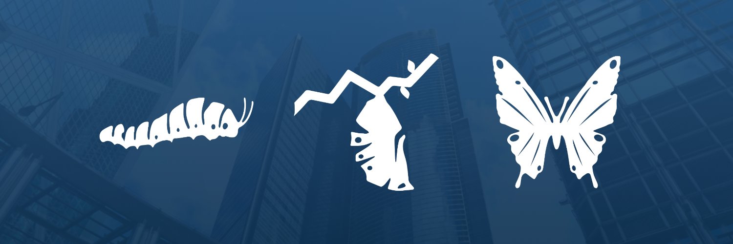 Maximize 🦋 banner