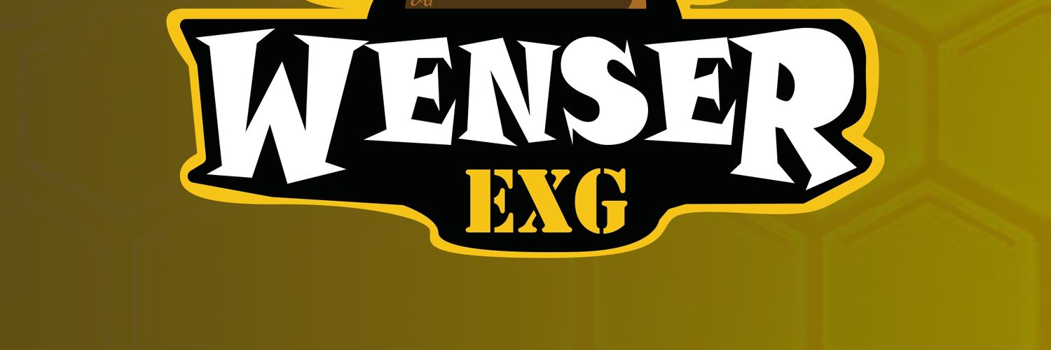 gaming_wenser's profile banner image