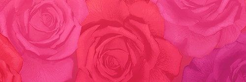 09__NVR's profile banner image