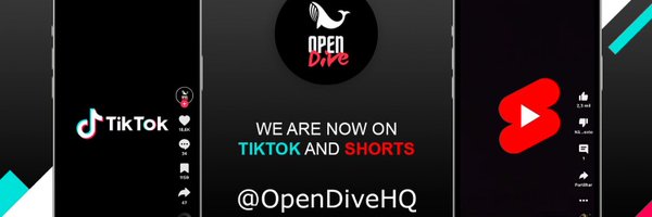 OpenDiveHQ Profile Banner