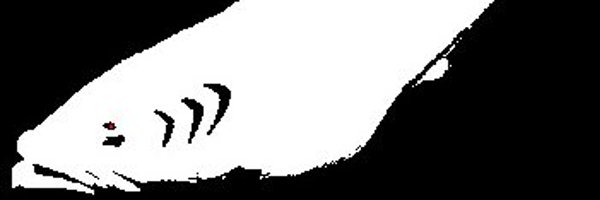 WhoCatman Profile Banner