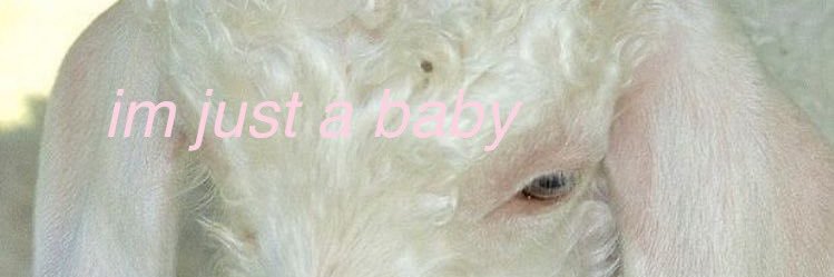 anothertinylamb's profile banner image
