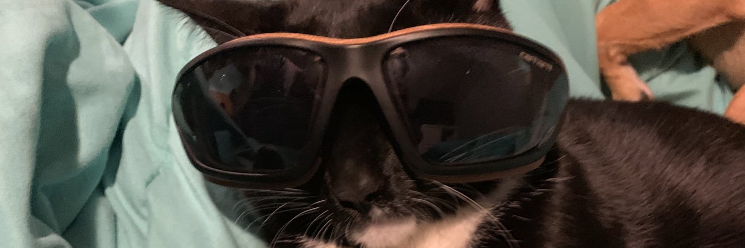 _swedlove's profile banner image
