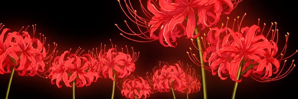 Cheyy_jean's profile banner image
