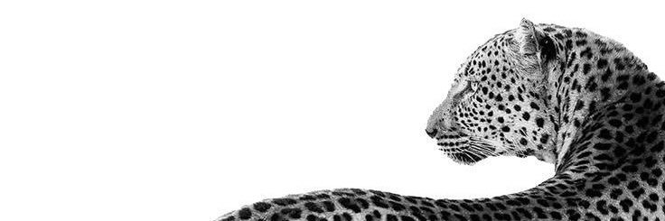 𝐌𝐨𝐦𝐦𝐲 𝐂𝐥𝐨 banner