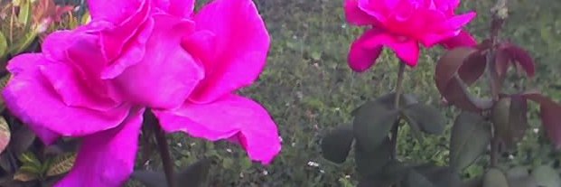 karekare855's profile banner image
