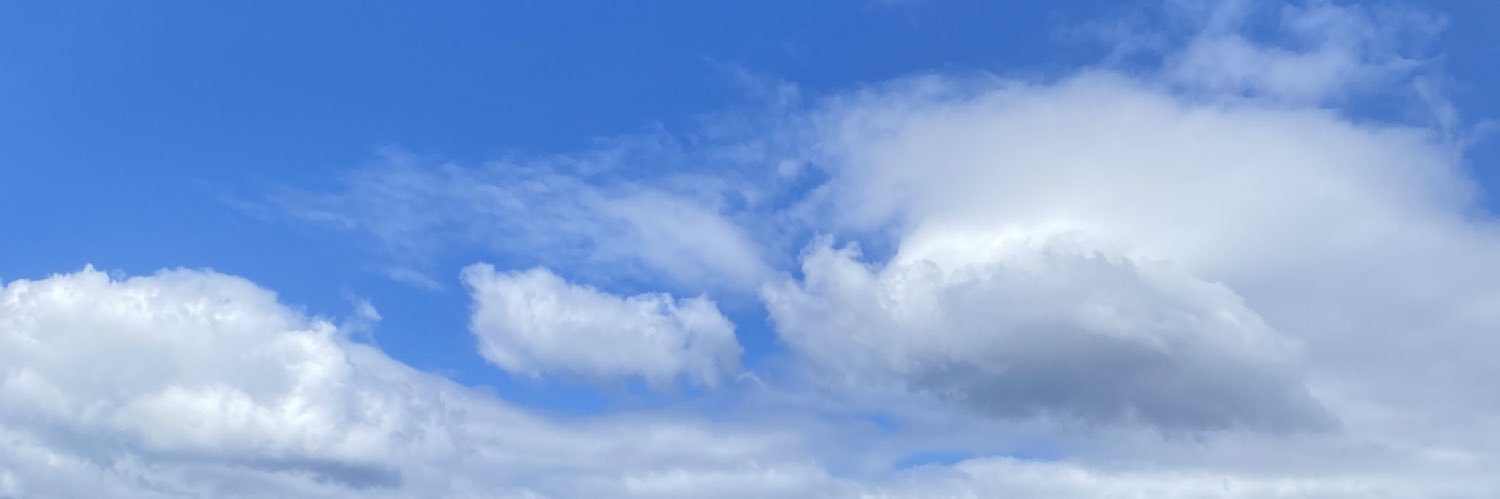 juleyenn's profile banner image