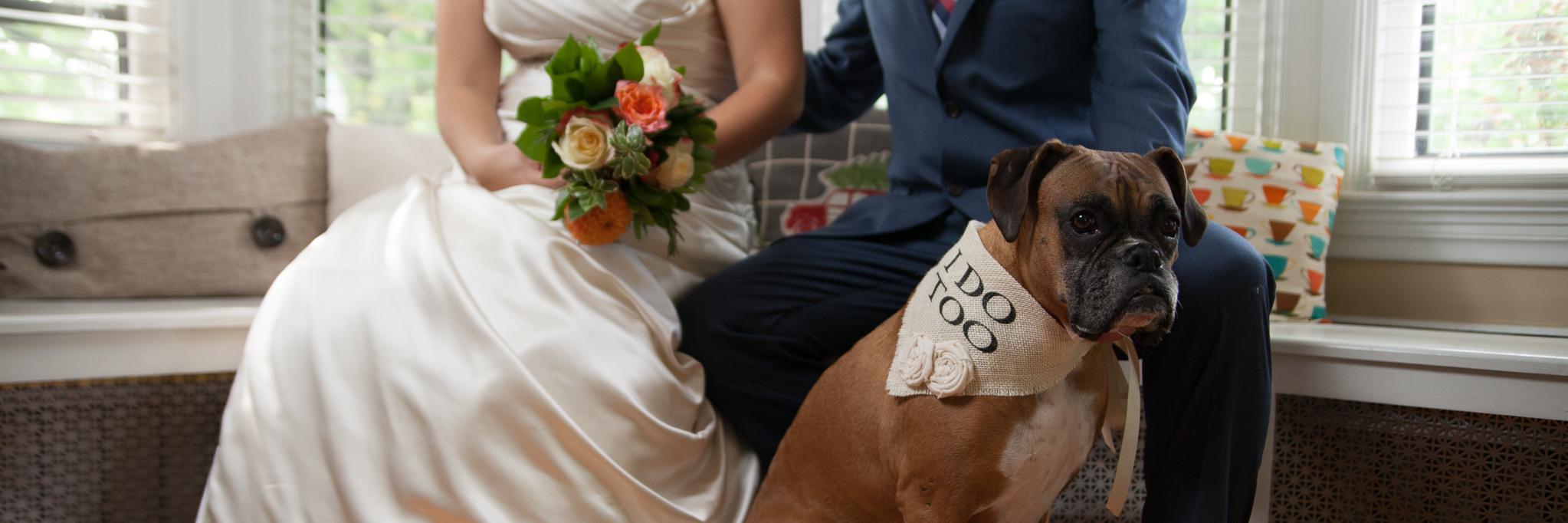 Becky Singson Blank banner