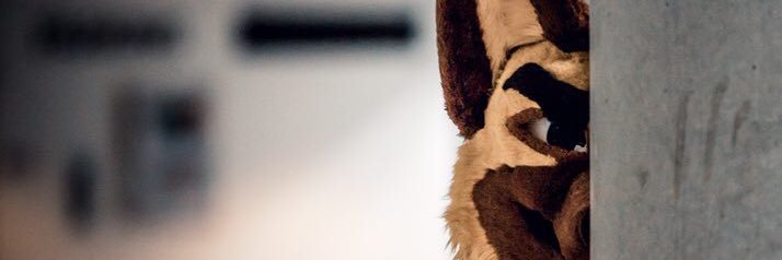 Calzone ✈️ Bsky banner