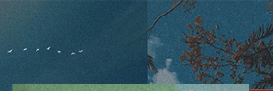 STANRIGHT_'s profile banner image