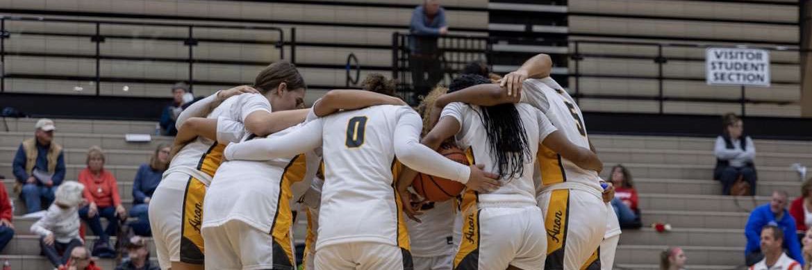 n e v a e h wren banner