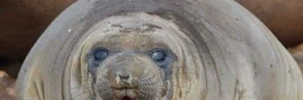 sperglet Profile Banner