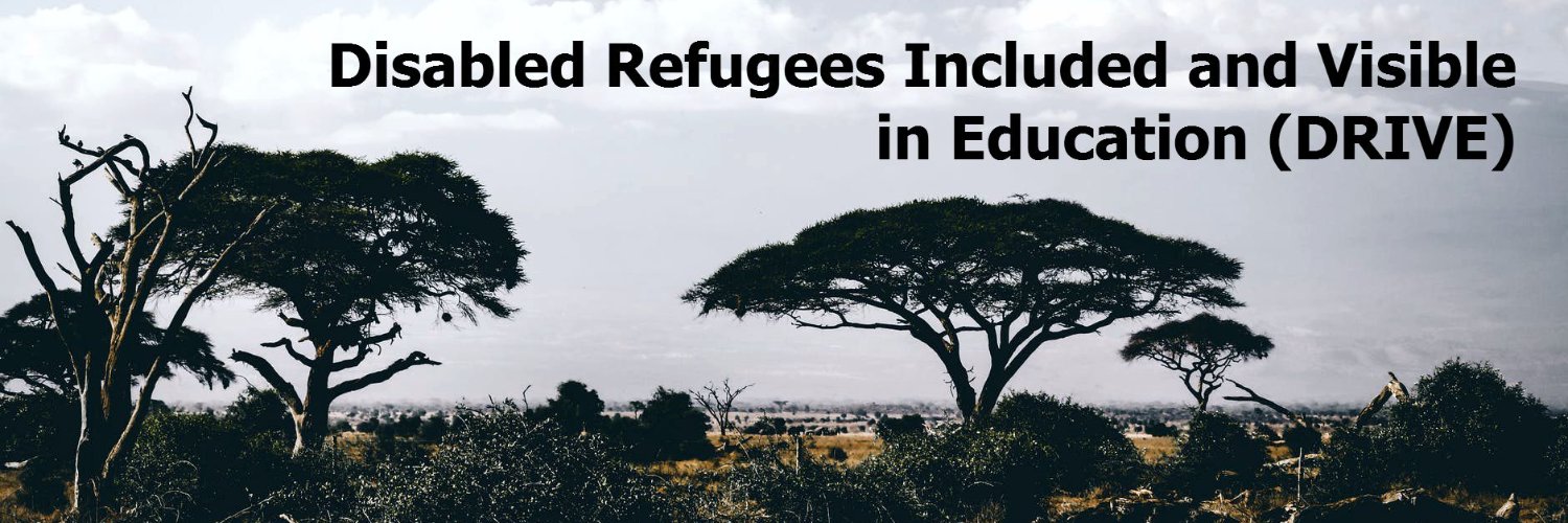 DRIVE Project banner