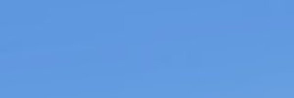 www63315536 Profile Banner