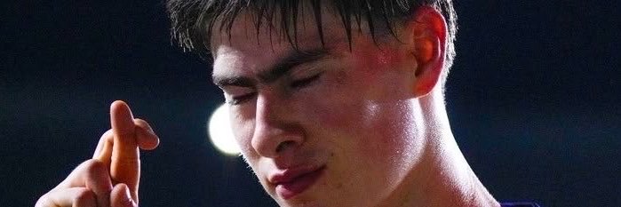 lvshormigol's profile banner image