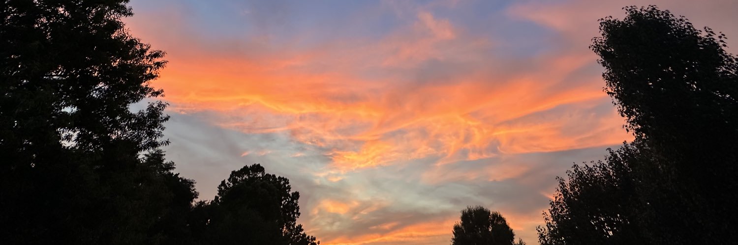 Lorena Cerecero banner