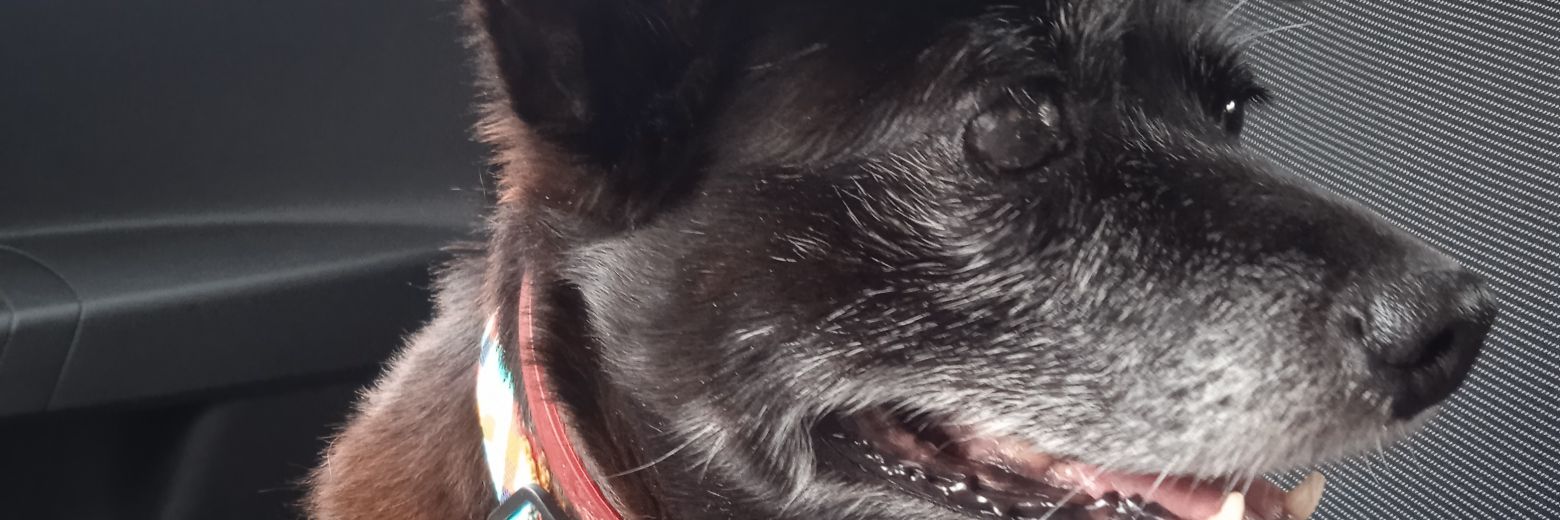 robertaa30's profile banner image