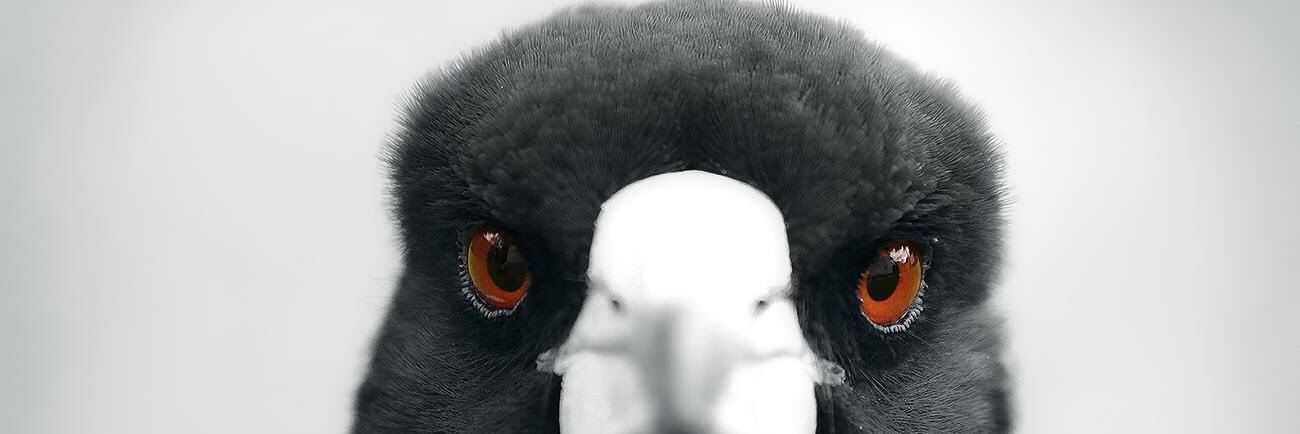 ramdanj's profile banner image
