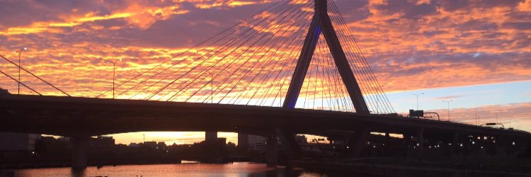 Shawn_ONeil3's profile banner image
